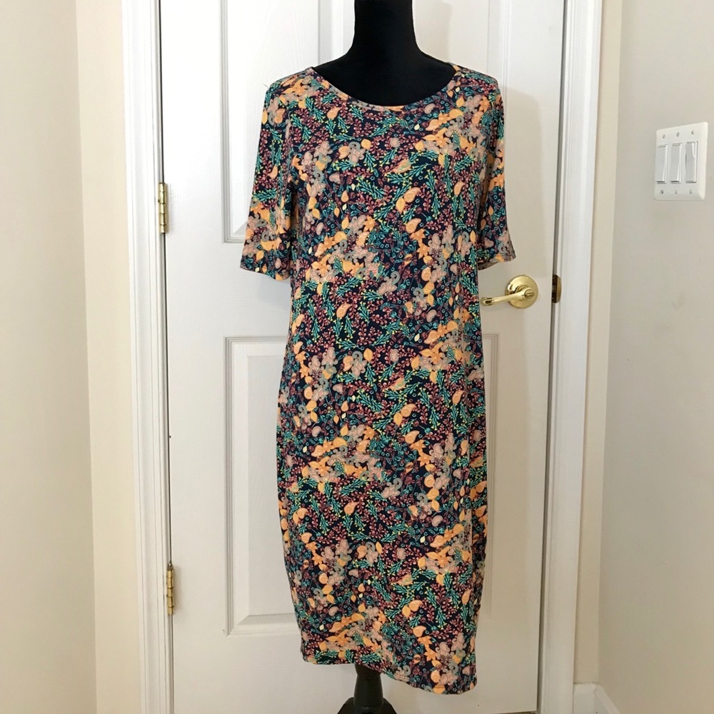 LuLaRoe Julia / Beautiful Colorful Spring Dress L